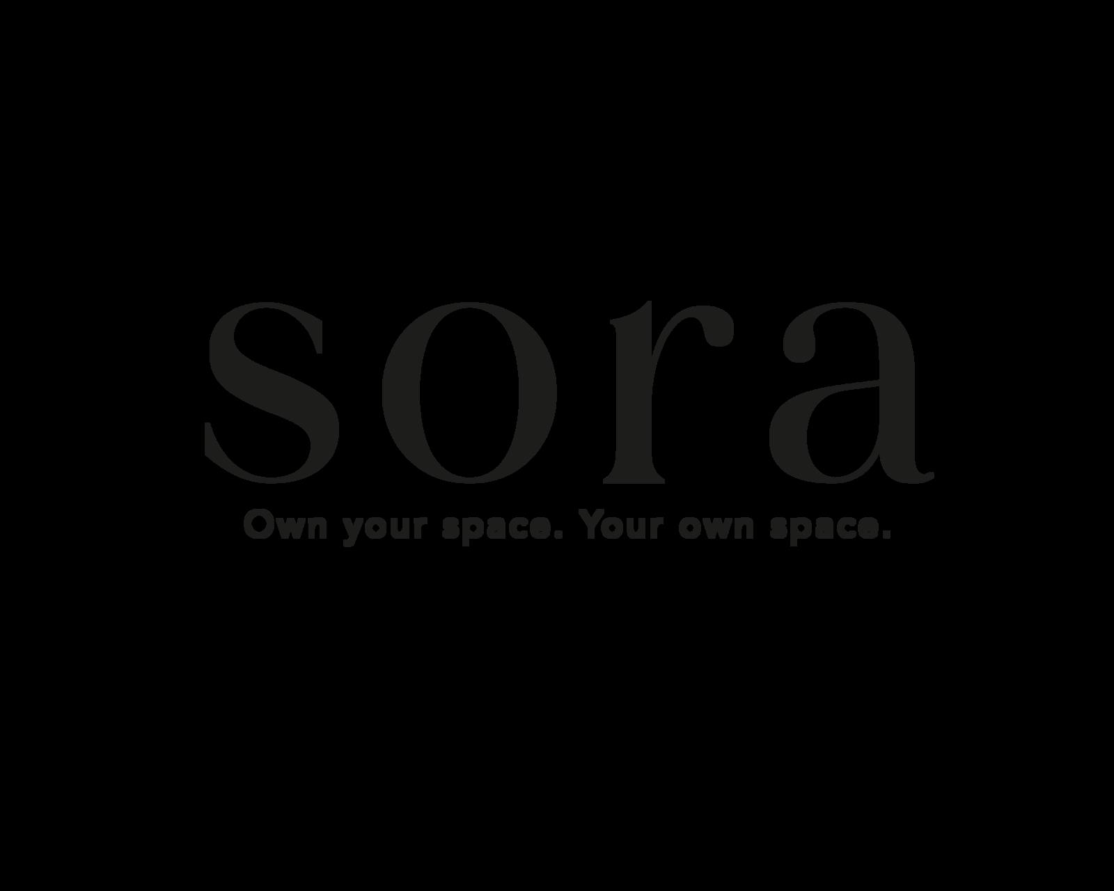 SORA gallery render